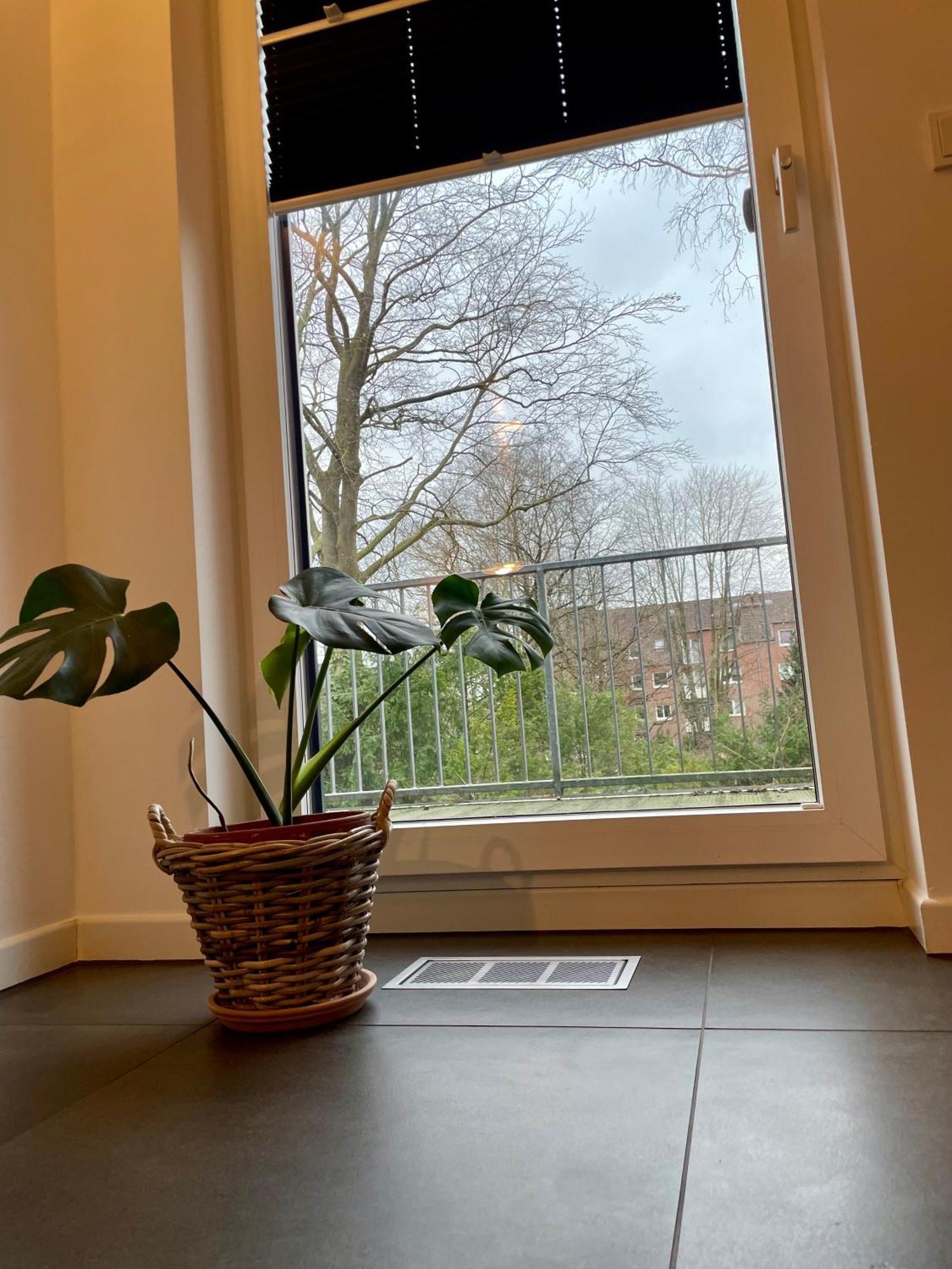 Modernes Holzhaus Im Skandinavischen Stil Mit Sauna, Garten Und 2 Katzen Norderstedt Exterior foto